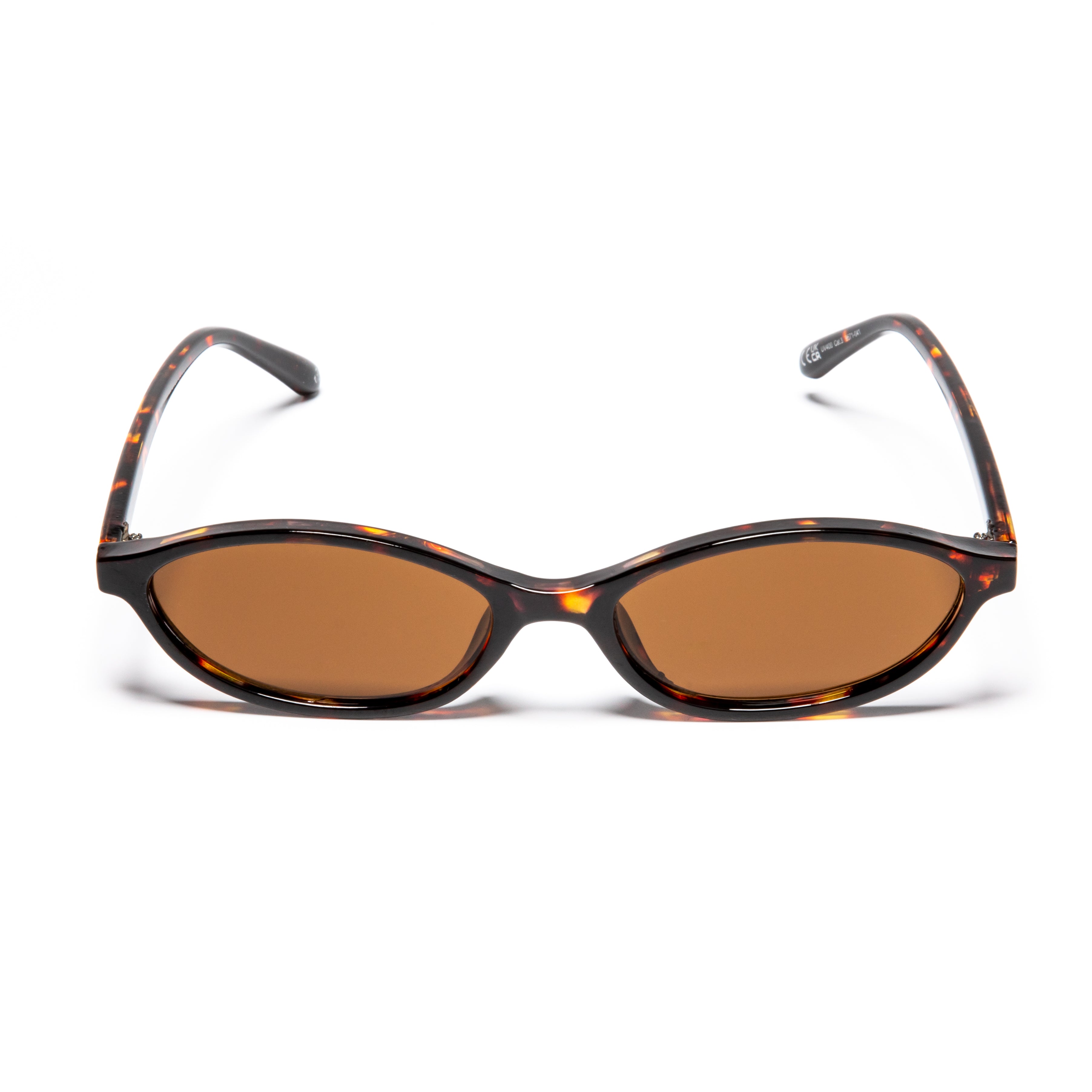 Paloma Tortoise