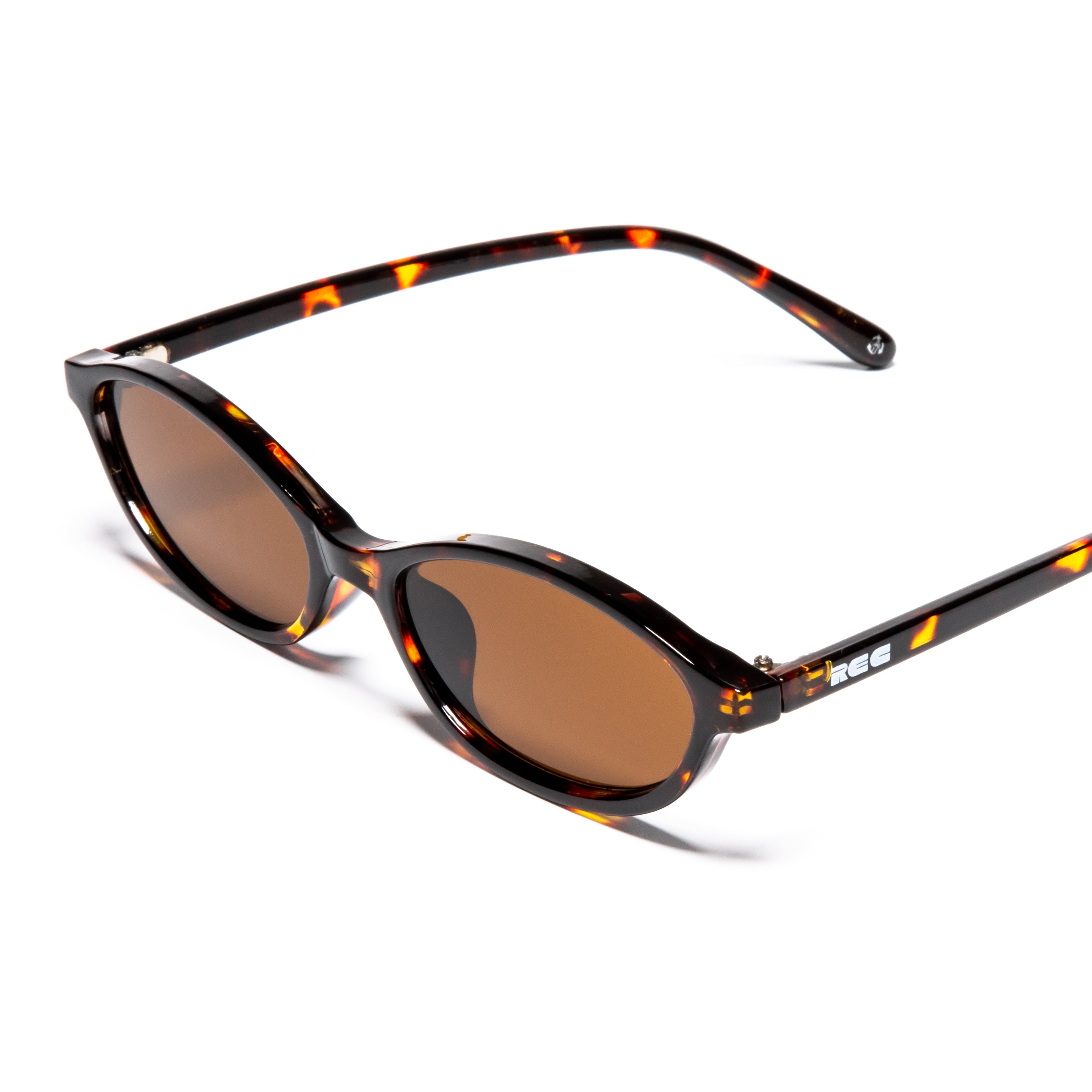 Paloma Tortoise