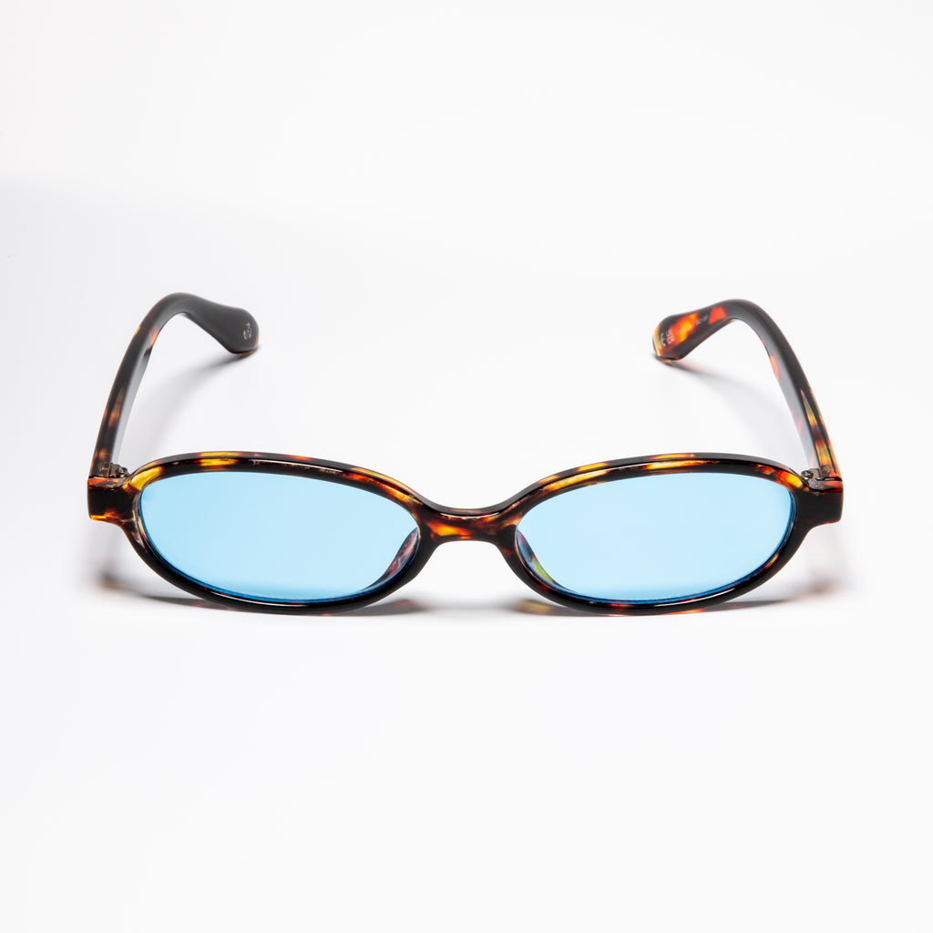 Division Tortoise/Blue