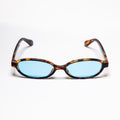 Division Tortoise/Blue