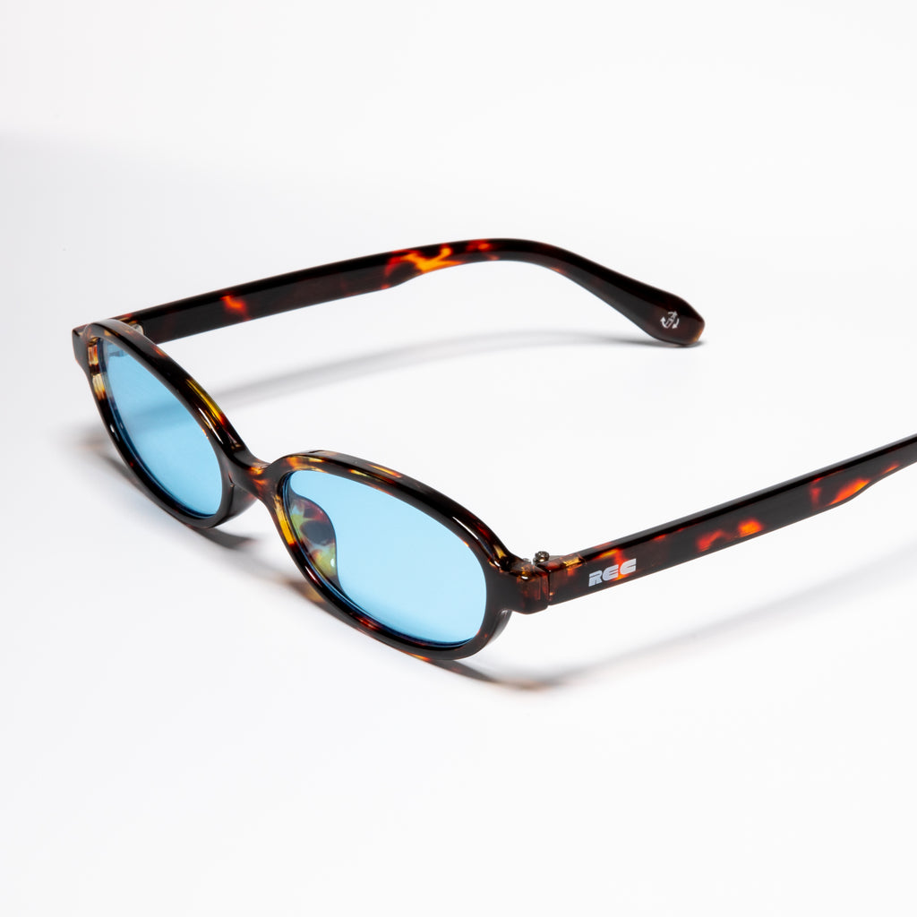 Division Tortoise/Blue