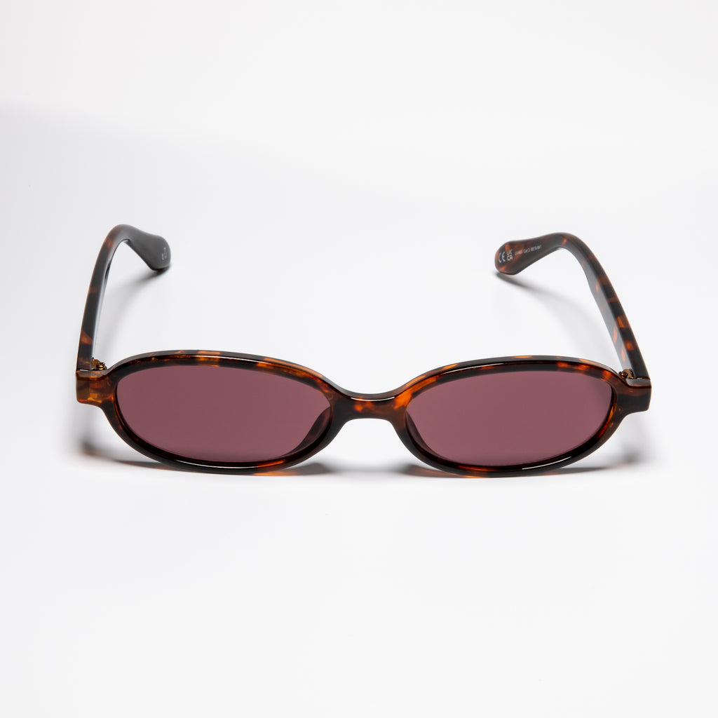 Division Tortoise/Brown
