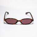 Division Tortoise/Brown