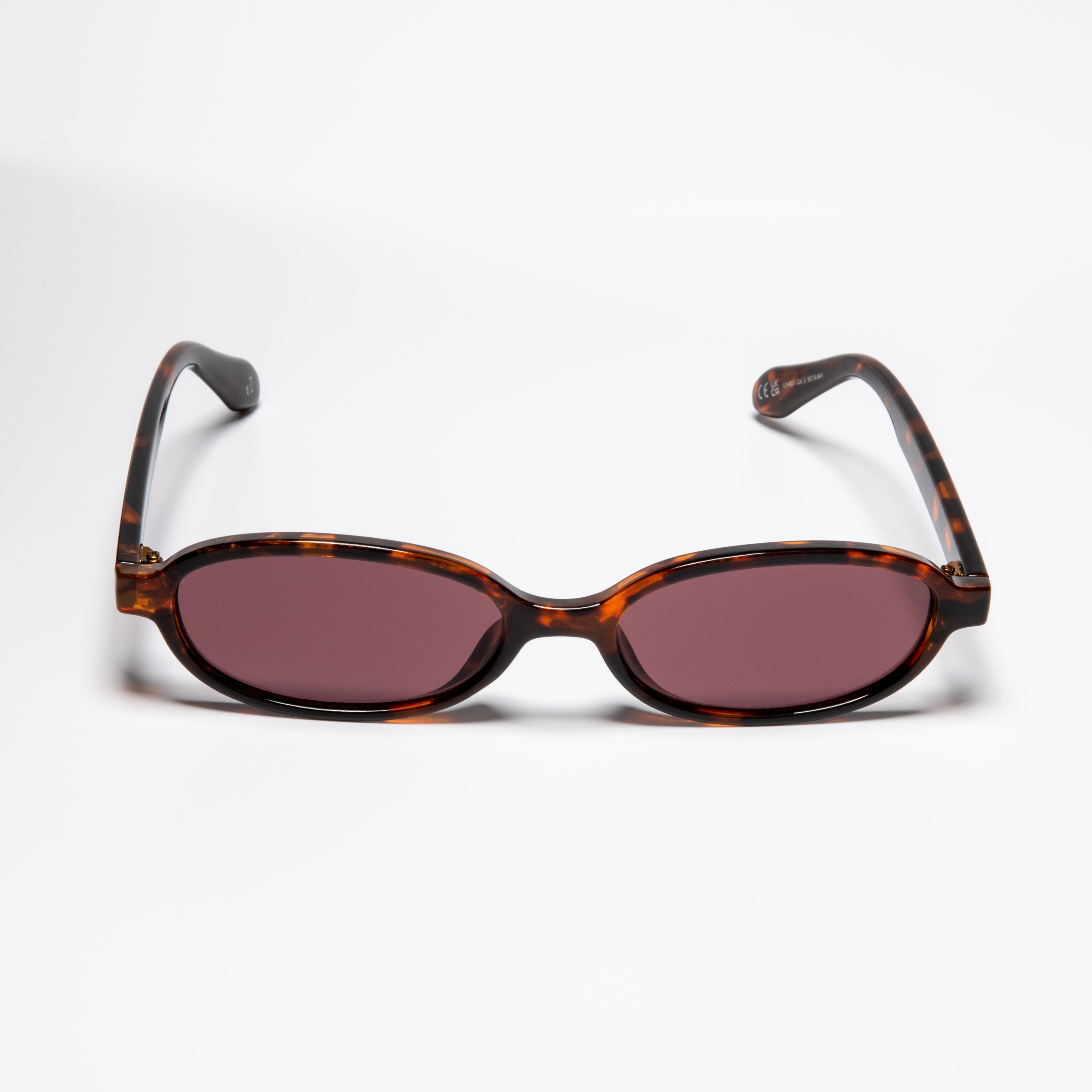 Division Tortoise/Brown