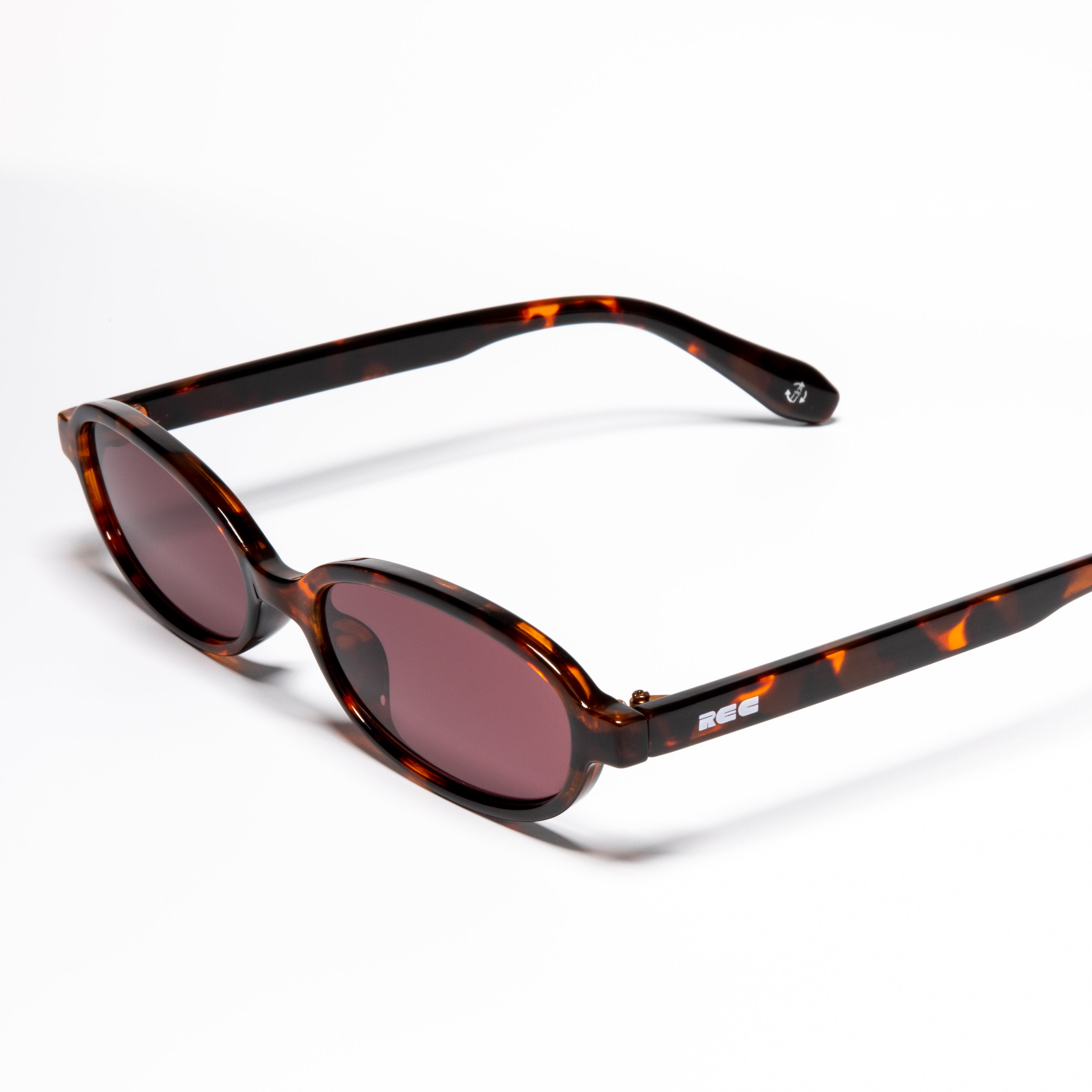 Division Tortoise/Brown