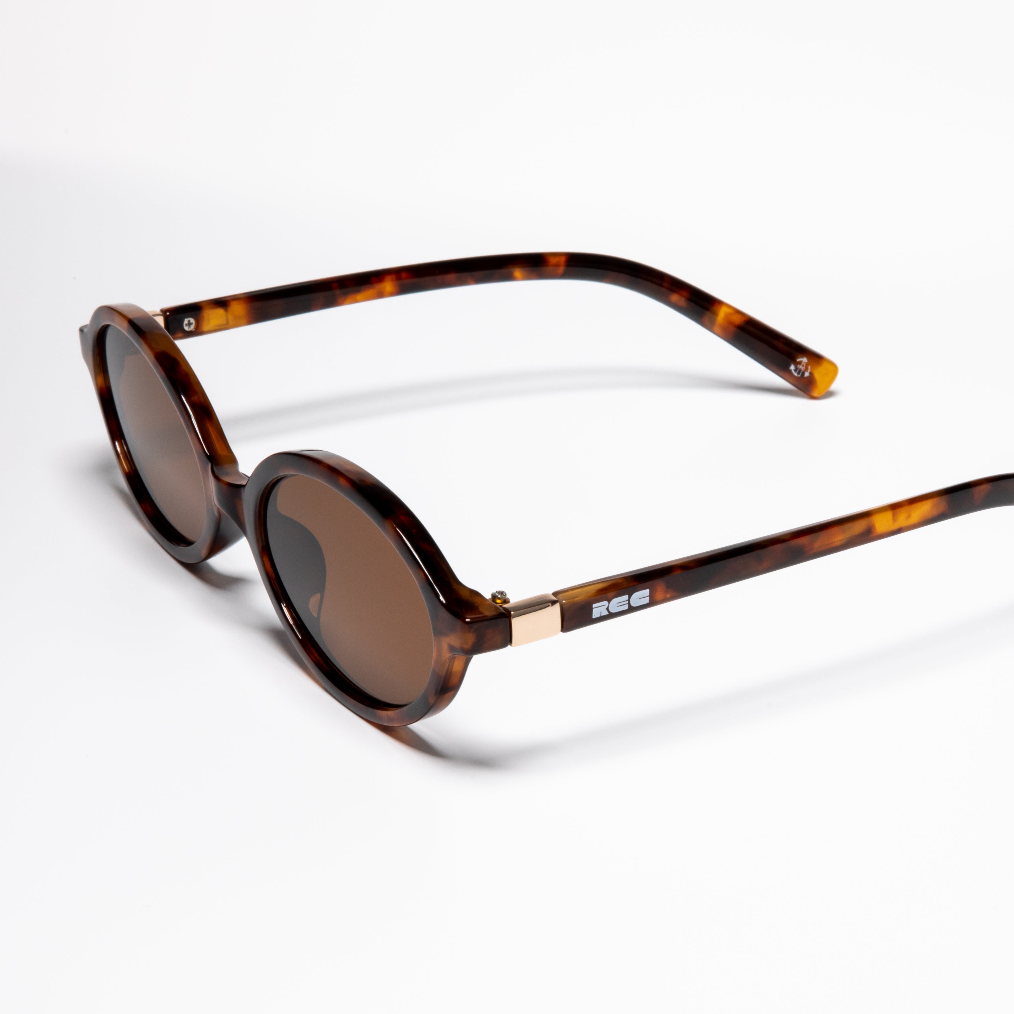 Cosmo Tortoise
