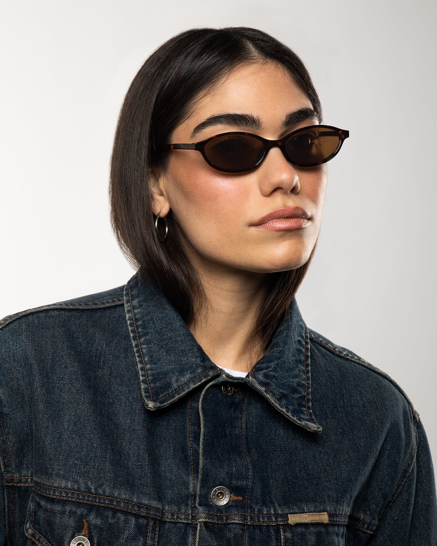 Paloma Tortoise